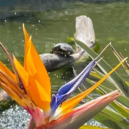 Parc Croisette Appartamento Cannes